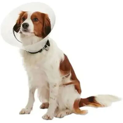 Collier Kruuse Elizabethan pour Chien - Collier pour chiens - Publicité Collier Kruuse Elizabethan pour Chien - Collier pour chiens - Publicité