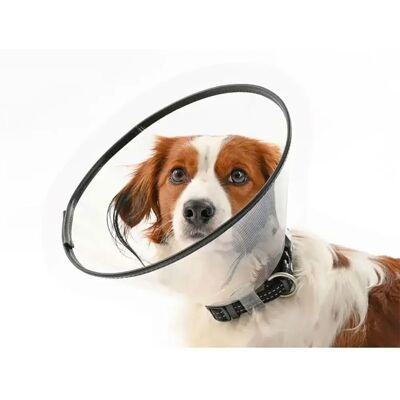 Kruuse Collier De Chien Set 7.5-30 Cm Elizabethan 7 Unités One Size - Publicité Kruuse Collier De Chien Set 7.5-30 Cm Elizabethan 7 Unités One Size - Publicité