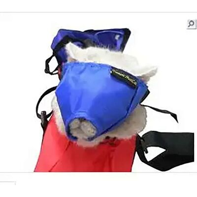 Muzzle en nylon KRUUSE pour chats - Réglable, Apaisant, Lavable - Publicité Muzzle en nylon KRUUSE pour chats - Réglable, Apaisant, Lavable - Publicité