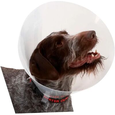 Kruuse Collier De Chien K273395 Elizabethan 10 Unités Transparent One Size - Publicité Kruuse Collier De Chien K273395 Elizabethan 10 Unités Transparent One Size - Publicité