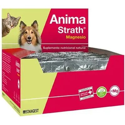 Stangest Anima Magnesio - Supplément pour Animaux - 360 Comprimés - Publicité Stangest Anima Magnesio - Supplément pour Animaux - 360 Comprimés - Publicité