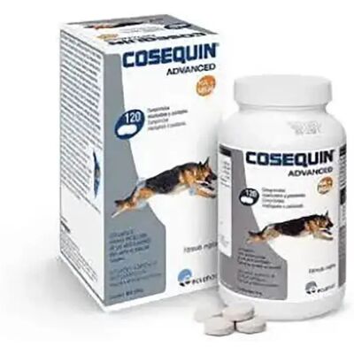 Cosequin Advanced Compléments pour Chiens - 120 Comprimés - Publicité Cosequin Advanced Compléments pour Chiens - 120 Comprimés - Publicité