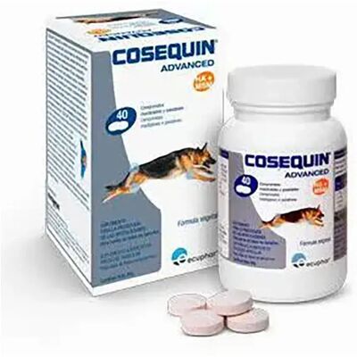 Cosequin Avancé Condroprotecteur Ds Msm Ha - Compléments pour Chiens - Publicité Cosequin Avancé Condroprotecteur Ds Msm Ha - Compléments pour Chiens - Publicité