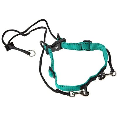 Kruuse Collier De Chien Elizabethan Green L - Publicité Kruuse Collier De Chien Elizabethan Green L - Publicité