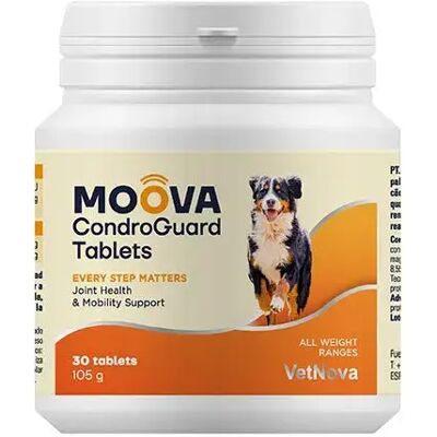 Vetnova Moova CondroGuard - Supplément pour chiens santé articulaire - Publicité Vetnova Moova CondroGuard - Supplément pour chiens santé articulaire - Publicité