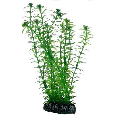 Hobby Plante Lagarosiphon 20cm One Size - Publicité Hobby Plante Lagarosiphon 20cm One Size - Publicité