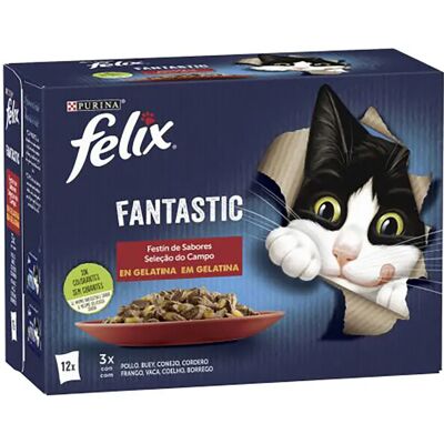 Purina Felix Modèle - Nourriture pour Chats Feast - Pack de 6 - Publicité Purina Felix Modèle - Nourriture pour Chats Feast - Pack de 6 - Publicité