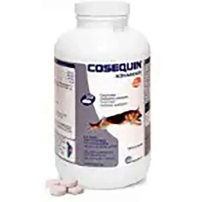 Cosequin Avancé Condroprotecteur Ds Msm Ha - Compléments pour Chiens - Publicité Cosequin Avancé Condroprotecteur Ds Msm Ha - Compléments pour Chiens - Publicité