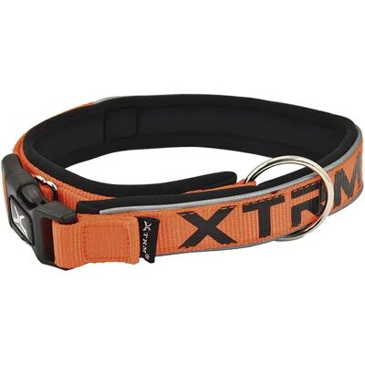 Nayeco Collier De Chien X-trm Neon Flash Orange 20 mm x 35-45 cm - Publicité Nayeco Collier De Chien X-trm Neon Flash Orange 20 mm x 35-45 cm - Publicité