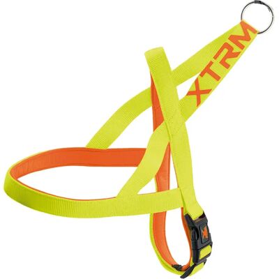 NAYECO X-Trm Neon Flash Limon - Harnais pour Chiens - Publicité NAYECO X-Trm Neon Flash Limon - Harnais pour Chiens - Publicité