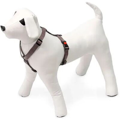 Karlie Harnais Pour Chien Art Sportiv Plus Dog Grey 45-70 cm x 20 mm - Publicité Karlie Harnais Pour Chien Art Sportiv Plus Dog Grey 45-70 cm x 20 mm - Publicité