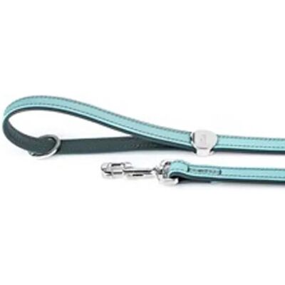 Myfamily Laisse Pour Chien Firenze Green 22 x 110 cm - Publicité Myfamily Laisse Pour Chien Firenze Green 22 x 110 cm - Publicité