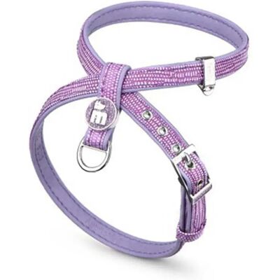 Collier Saint Tropez Violet de MyFamily - Collier et Medaille pour Animaux - Publicité Collier Saint Tropez Violet de MyFamily - Collier et Medaille pour Animaux - Publicité