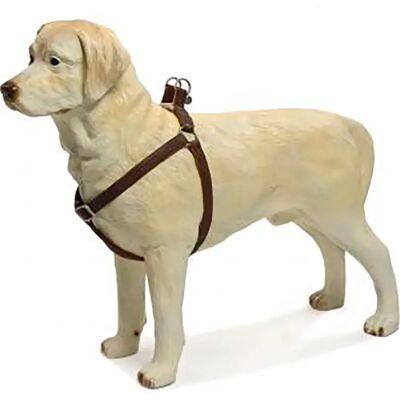 Beeztees Harnais Pour Chien Soft Touch Brown 70-90 cm x 25 mm - Publicité Beeztees Harnais Pour Chien Soft Touch Brown 70-90 cm x 25 mm - Publicité