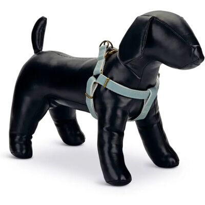 Designed By Lotte Harnais Pour Chien Virante Mint 60-100 cm x 25 mm - Publicité Designed By Lotte Harnais Pour Chien Virante Mint 60-100 cm x 25 mm - Publicité
