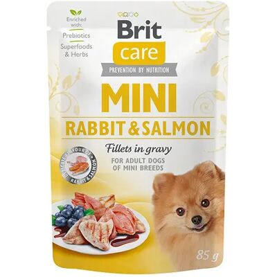 Brit Care Pâtée En Sachet Pour Chiens Adultes De Petite Taille Lapin & Saumon 24x85g 24x85g - Publicité Brit Care Pâtée En Sachet Pour Chiens Adultes De Petite Taille Lapin & Saumon 24x85g 24x85g - Publicité