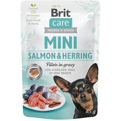 Brit Care Mini Pâtée En Sachet Pour Chien Adulte Stérilisé Au Saumon Et Hareng 24x85g 24x85g - Publicité Brit Care Mini Pâtée En Sachet Pour Chien Adulte Stérilisé Au Saumon Et Hareng 24x85g 24x85g - Publicité