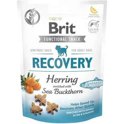 Brit Friandise De Récupération Au Hareng Pour Chiens Adultes 10x150g 10x150g - Publicité Brit Friandise De Récupération Au Hareng Pour Chiens Adultes 10x150g 10x150g - Publicité