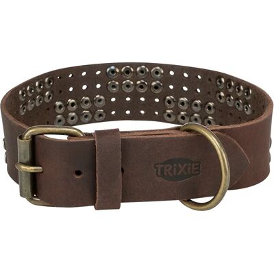 Trixie Collier De Chien 18976 Brown XL - Publicité Trixie Collier De Chien 18976 Brown XL - Publicité