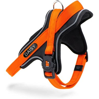 Myfamily Harnais Pour Chien Memopet Y Id Orange M-L - Publicité Myfamily Harnais Pour Chien Memopet Y Id Orange M-L - Publicité