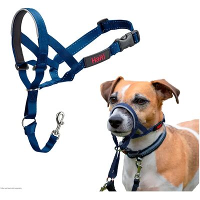 Company Of Animals Muselière Halti Headcollar Blue 2 - Publicité Company Of Animals Muselière Halti Headcollar Blue 2 - Publicité