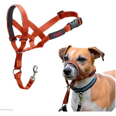 Company Of Animals Muselière Halti Headcollar Orange 4 - Publicité Company Of Animals Muselière Halti Headcollar Orange 4 - Publicité
