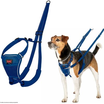 Company Of Animals Harnais Pour Chien Halti No Pull Blue L - Publicité Company Of Animals Harnais Pour Chien Halti No Pull Blue L - Publicité