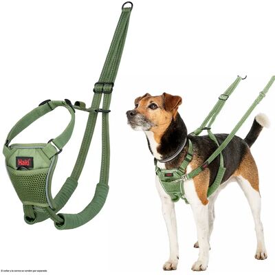 Company Of Animals Harnais Pour Chien Halti No Pull Green L - Publicité Company Of Animals Harnais Pour Chien Halti No Pull Green L - Publicité