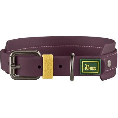 Hunter Pet Collier De Chien Havanna Buckle Closure Purple 27-35 cm x 2.5 cm - Publicité Hunter Pet Collier De Chien Havanna Buckle Closure Purple 27-35 cm x 2.5 cm - Publicité