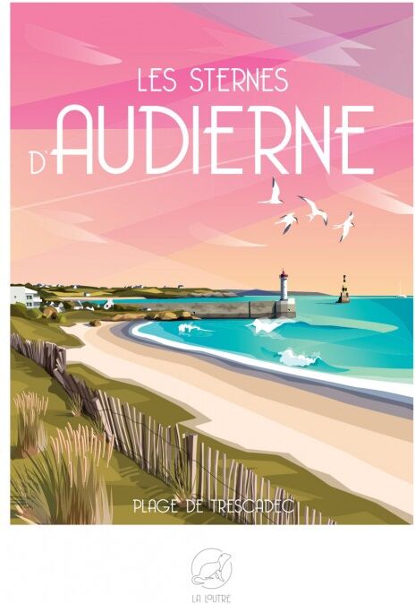 Les sternes d'AUDIERNE Plage de trescadec image