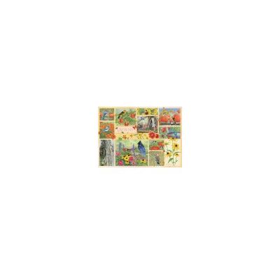 Cobble Hill Oiseaux de jardin en automne 500 XL Puzzle - Puzzle - Publicité Cobble Hill Oiseaux de jardin en automne 500 XL Puzzle - Puzzle - Publicité