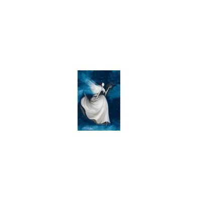 ART Puzzle The Night Fairy - Publicité ART Puzzle The Night Fairy - Publicité