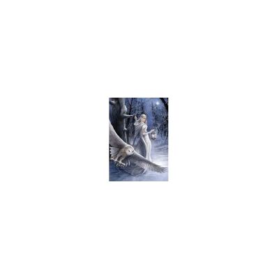 ART Puzzle Anne Stokes - Midnight Messenger - Publicité ART Puzzle Anne Stokes - Midnight Messenger - Publicité
