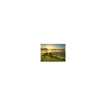 Dino Puzzle XL - Vignoble Maremma - Publicité Dino Puzzle XL - Vignoble Maremma - Publicité