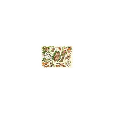 HOP - Pièces XXL - Oiseaux des bois - puzzle - Publicité HOP - Pièces XXL - Oiseaux des bois - puzzle - Publicité