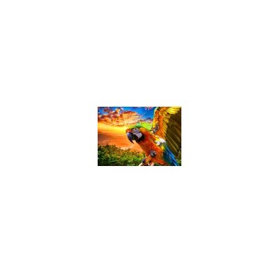 Bluebird - Parrot - 1000-pièces - Puzzle - Publicité Bluebird - Parrot - 1000-pièces - Puzzle - Publicité