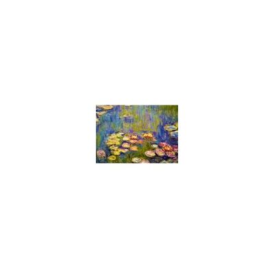 Bluebird Art Claude Monet - Puzzle Nymphéas - 1000 Pièces - Publicité Bluebird Art Claude Monet - Puzzle Nymphéas - 1000 Pièces - Publicité