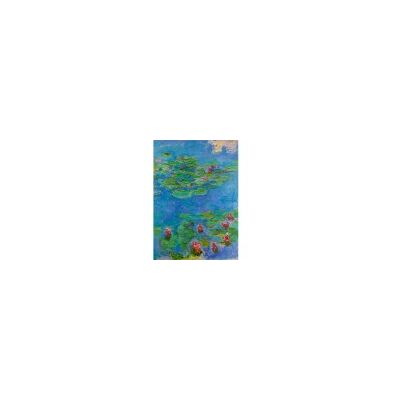 Puzzle Bluebird Monet Nymphéas - 1000 Pièces - Publicité Puzzle Bluebird Monet Nymphéas - 1000 Pièces - Publicité