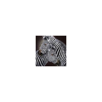 Crystal Art Crystal Art - Kit Broderie Diamant - Zèbre - Publicité Crystal Art Crystal Art - Kit Broderie Diamant - Zèbre - Publicité