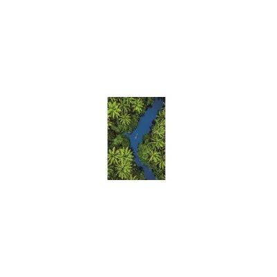 Clementoni 35592 Puzzle - Vue Aérienne Tropicale - 500 Pièces - Publicité Clementoni 35592 Puzzle - Vue Aérienne Tropicale - 500 Pièces - Publicité