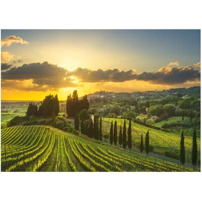 Dino Puzzle Puzzle XL - Vignoble Maremma - 500 à 999 pièces - Publicité Dino Puzzle Puzzle XL - Vignoble Maremma - 500 à 999 pièces - Publicité