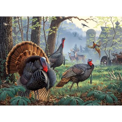SunsOut Puzzle Larry Zach - Old Tom's Farm - 1000 pièces - Publicité SunsOut Puzzle Larry Zach - Old Tom's Farm - 1000 pièces - Publicité