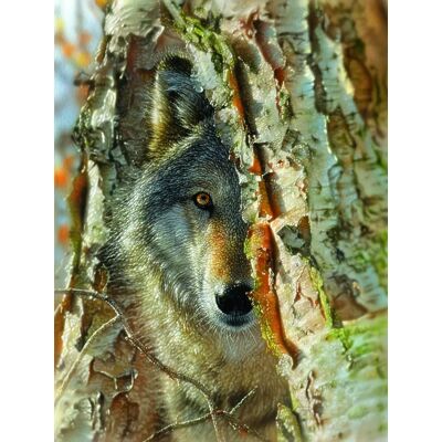 SunsOut Puzzle Pièces XXL - Rencontre avec un Loup - 500 à 999 pièces - Publicité SunsOut Puzzle Pièces XXL - Rencontre avec un Loup - 500 à 999 pièces - Publicité