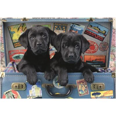 Dino Puzzle Chiots dans un Coffre - 500 à 999 pièces - Publicité Dino Puzzle Chiots dans un Coffre - 500 à 999 pièces - Publicité