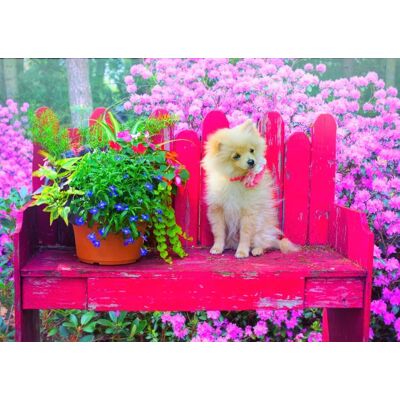 Bluebird - Puppy in Colorful Garden - 500 Pièces - Puzzle - Publicité Bluebird - Puppy in Colorful Garden - 500 Pièces - Puzzle - Publicité