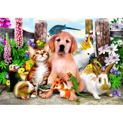 Bluebird Puzzle Puzzle Good Companions - 500 à 999 pièces - Publicité Bluebird Puzzle Puzzle Good Companions - 500 à 999 pièces - Publicité
