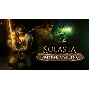 Solasta Crown of the Magister Primal Calling