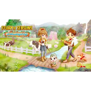 Nintendo Story of Seasons: A Wonderful Life Switch