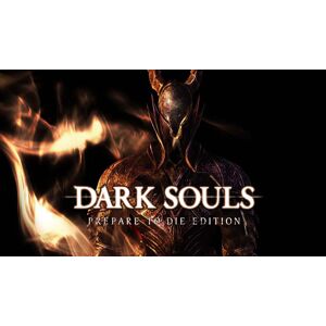 Dark Souls: Prepare To Die