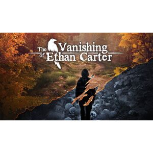 The Vanishing of Ethan Carter